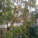Casa Da Piedade, 招待所
