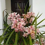 Casa Da Piedade, 招待所 瓦泽拉