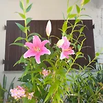 Casa Da Piedade, Guest house *