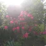 招待所 Casa Da Piedade,