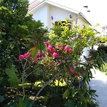 Casa Da Piedade, *