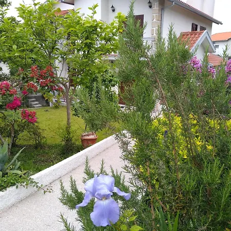 Guest house Casa Da Piedade, Vouzela