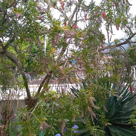 Casa Da Piedade, Guest house