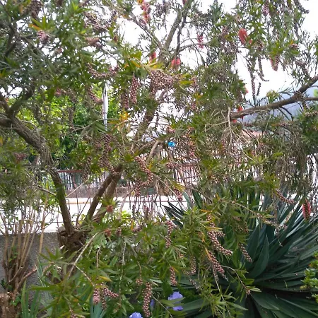 Casa Da Piedade, Casa de hóspedes