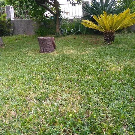 בית הארחה Casa Da Piedade, ווזלה