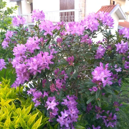 Casa Da Piedade, Casa de hóspedes *