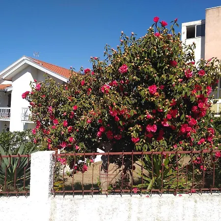 Πανσιόν Casa Da Piedade, *