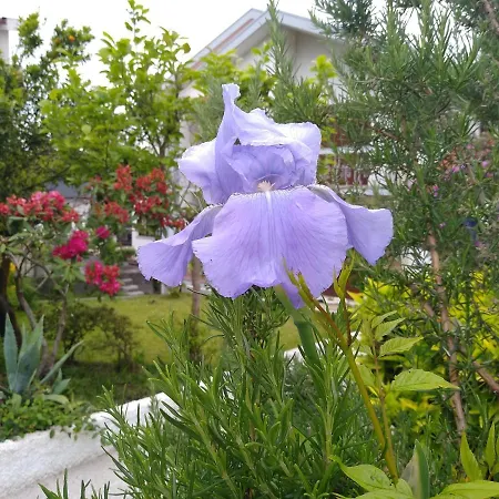 בית הארחה Casa Da Piedade, *