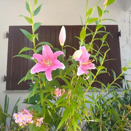 Casa Da Piedade, Πανσιόν *
