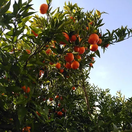 בית הארחה Casa Da Piedade, *