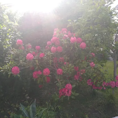 Casa de hóspedes Casa Da Piedade,