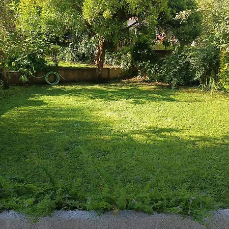 Πανσιόν Casa Da Piedade, Vouzela