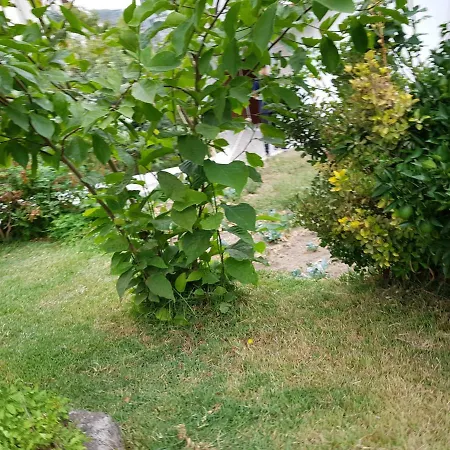 Casa Da Piedade, בית הארחה ווזלה