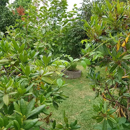 Casa Da Piedade, ווזלה