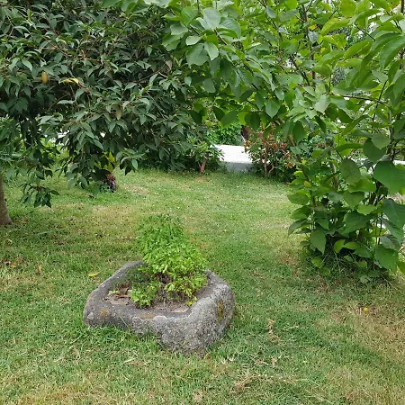 Pensjonat Casa Da Piedade, Vouzela
