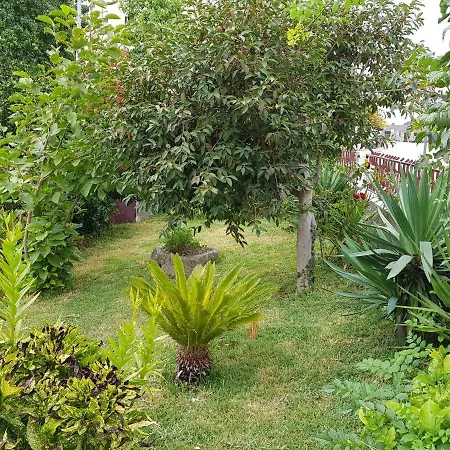 Πανσιόν Casa Da Piedade, *