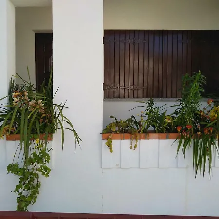 Casa Da Piedade, * Vouzela