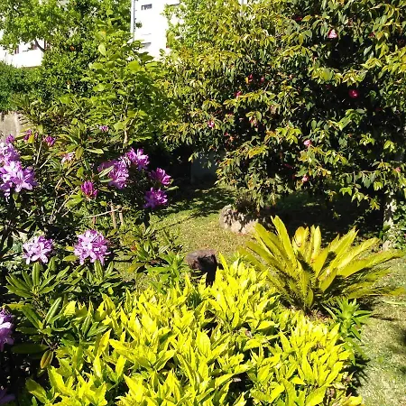 Casa Da Piedade, Vouzela