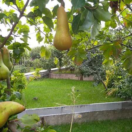 Casa Da Piedade, Casa de hóspedes