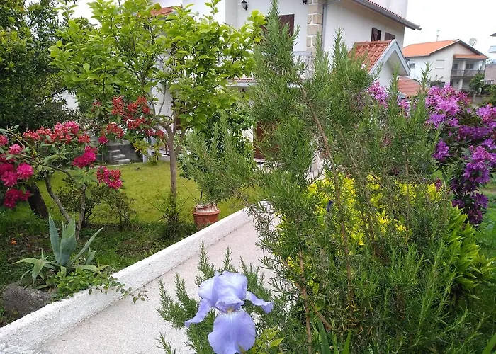 Konukevi Casa Da Piedade, Vouzela