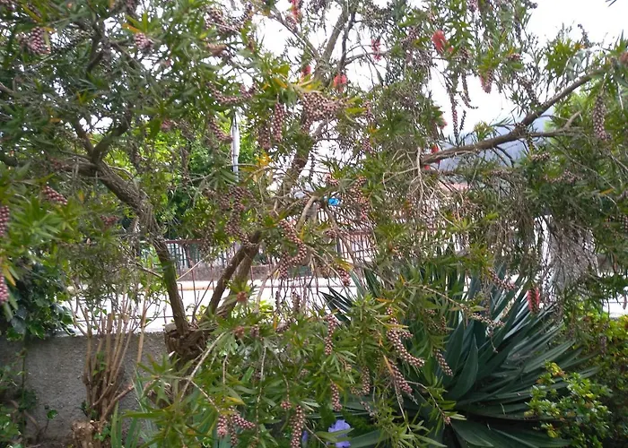 Casa Da Piedade, Guest house