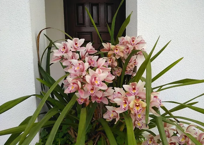 Casa Da Piedade, Konukevi Vouzela