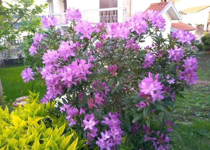 Casa Da Piedade, Guest house *