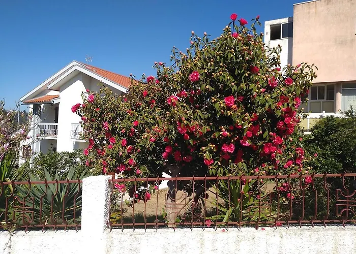 Guest house Casa Da Piedade, *