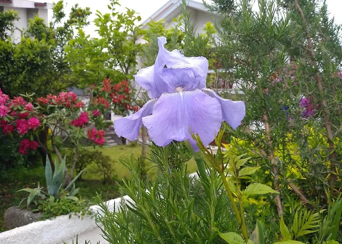 Guest house Casa Da Piedade, *