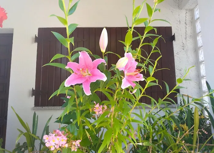 Casa Da Piedade, Konukevi *