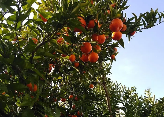 Guest house Casa Da Piedade, *