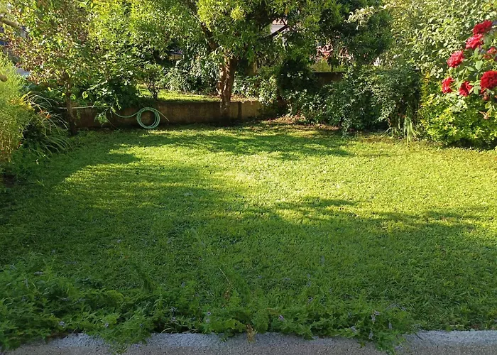 Konukevi Casa Da Piedade, Vouzela