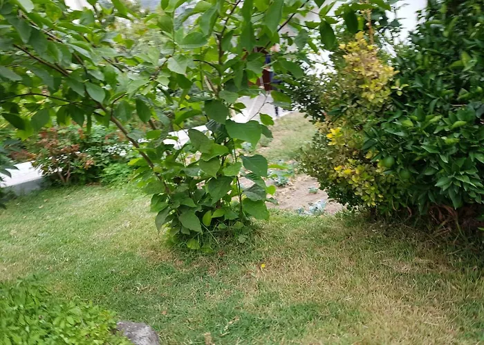 Casa Da Piedade, Guest house Vouzela