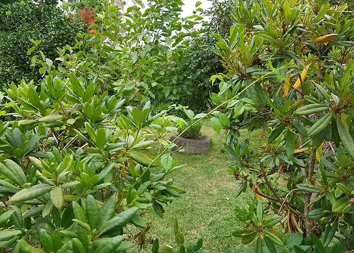 Casa Da Piedade, Vouzela