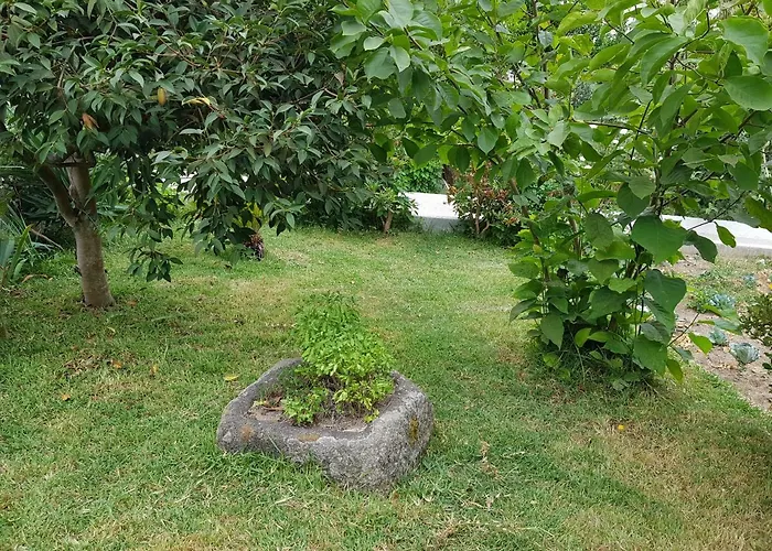 Konukevi Casa Da Piedade, Vouzela