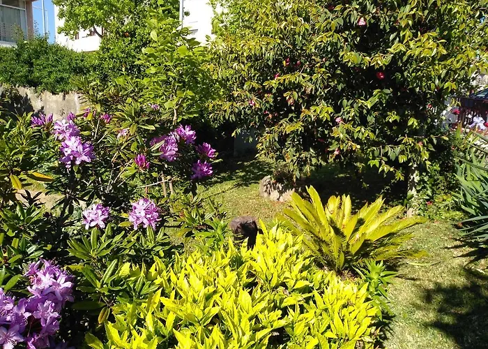 Casa Da Piedade, Vouzela