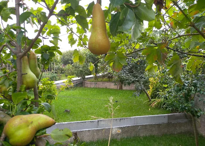 Casa Da Piedade, Guest house